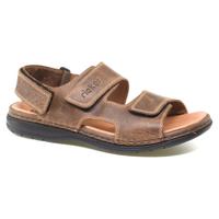 ������� �������� Rieker 66346