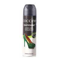 Аэрозольная краска Coccine Ravivvant spray 55_59_250